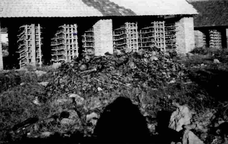 Ексхумација тела жртава у Црвенки 1957. године