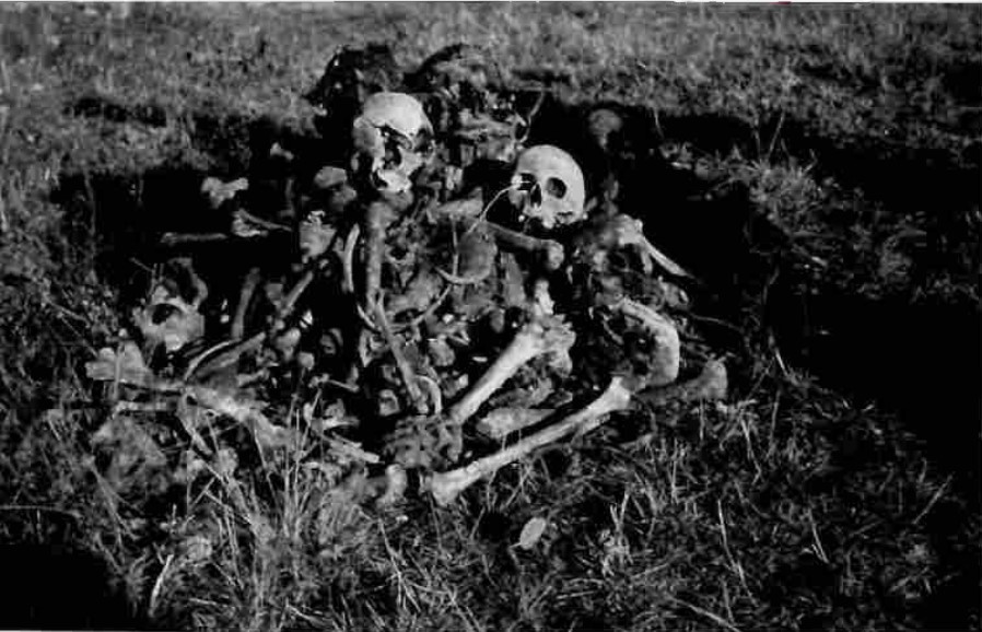 Ексхумација тела жртава у Црвенки 1957. године
