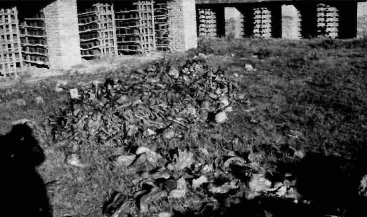 Ексхумација тела жртава у Црвенки 1957. године