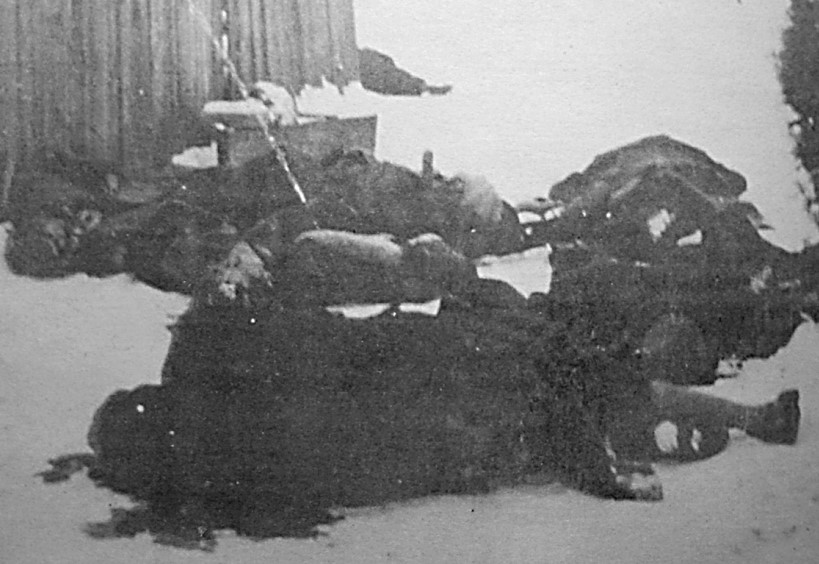 Жртве масовног убијања на игралишту НАК-а (Новосадског атлетског клуба) за време рације у Новом Саду 1942. године. Музеј Војводине, Збирка фотографија, инв. бр. 5492