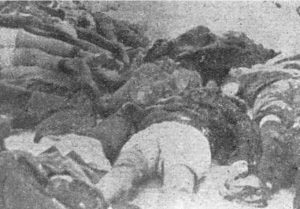 Гомила лешева на игралишту НАК-а