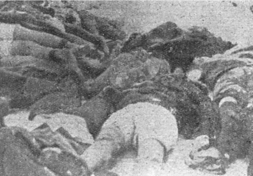 Гомила лешева на игралишту НАК-а